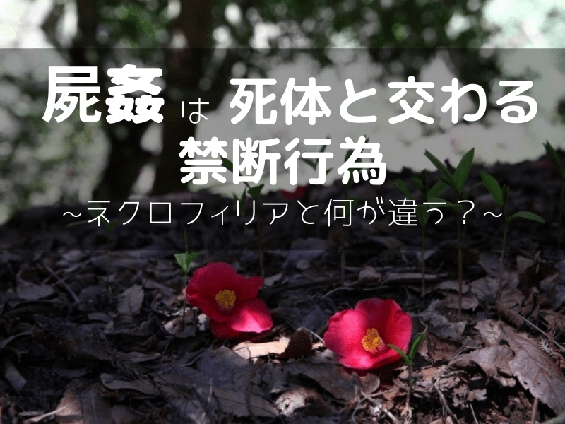 死姦は死体とセックスする禁断行為【ネクロフィリアとの関連性は?】