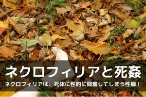 ネクロフィリアと死姦は同義語？意味は？