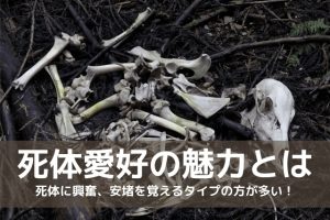 死体愛好の魅力